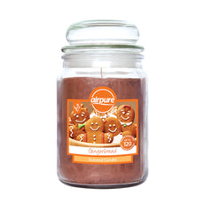 AirPure Scented Candle 510g (Scent Options)