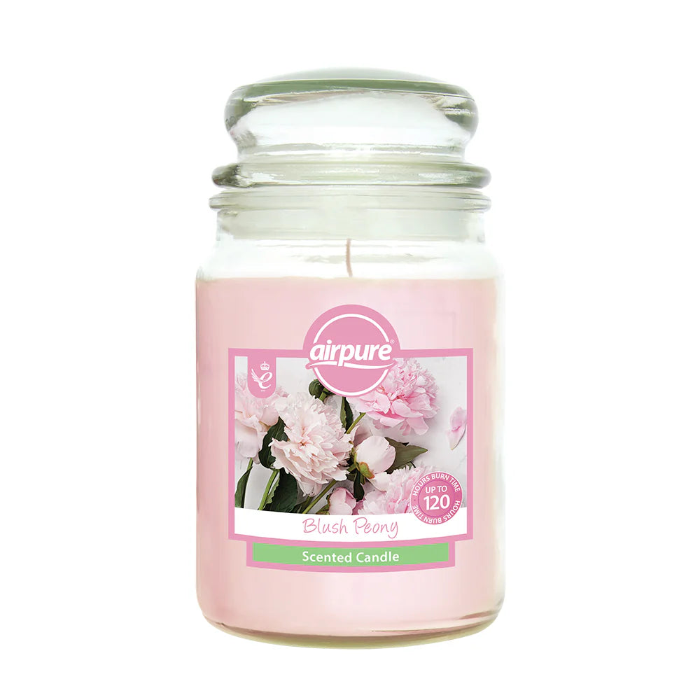 AirPure Scented Candle 510g (Scent Options)