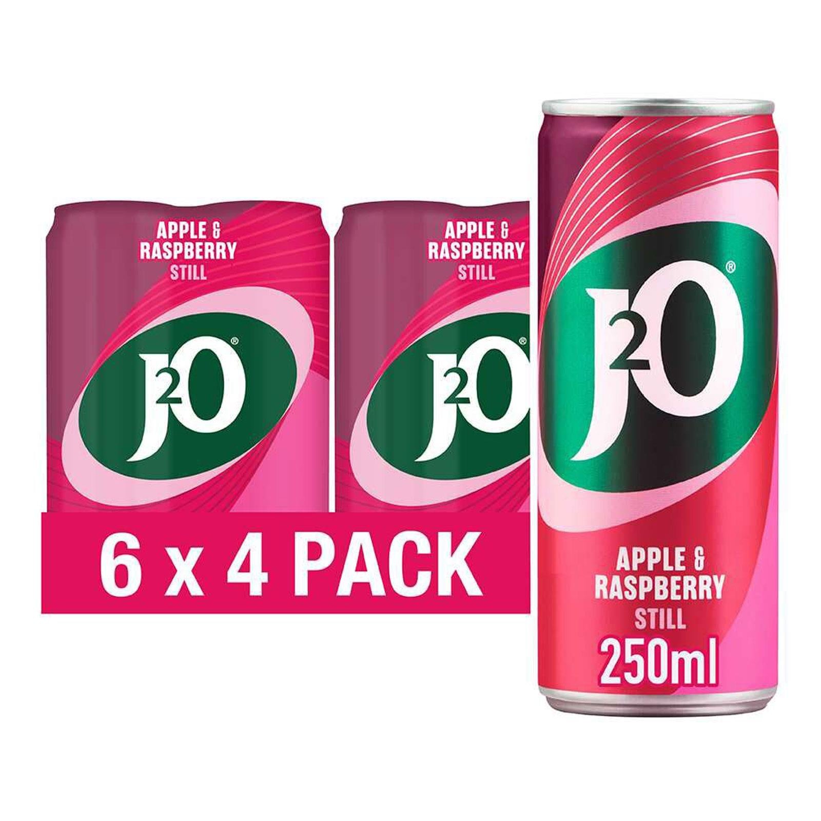 J20 Apple & Raspberry Can 4pk