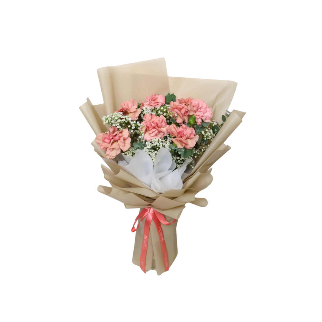 Bunch Of Artificial Carnation Cream & Pink 8 Flowers