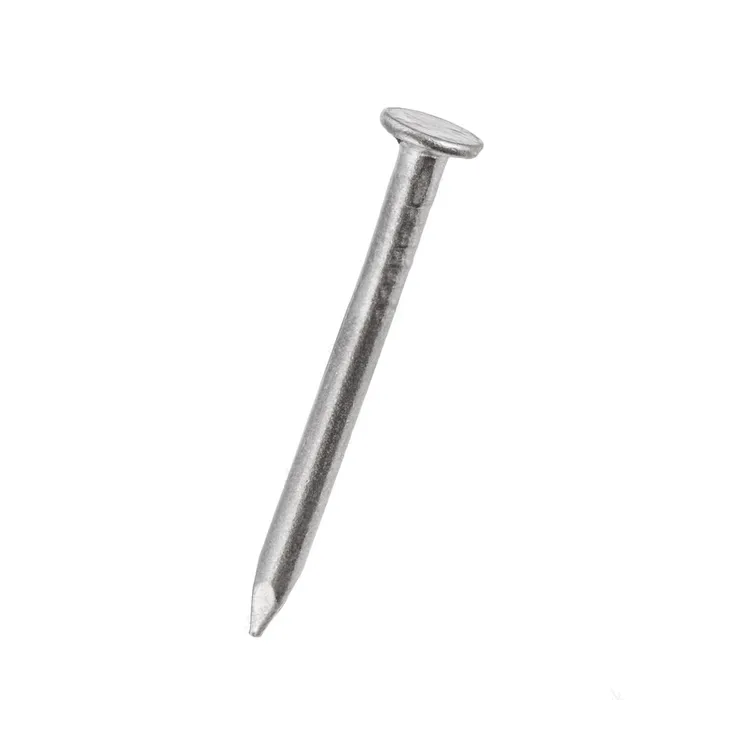 25mm Round Wire Nails 100 Grams Per Pack