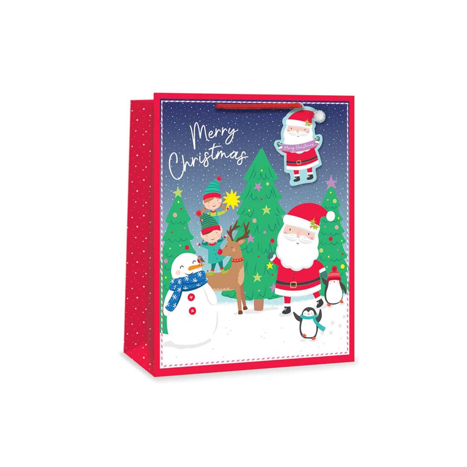 Xmas Gift Bag Large Kids Santa