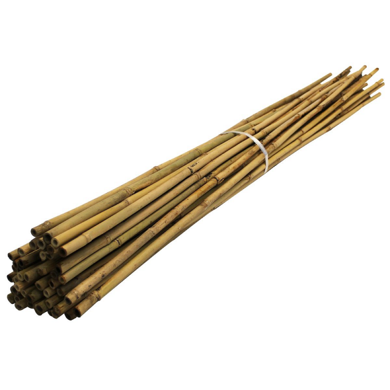 Bamboo Plant Support 10Pcs Length 90cm