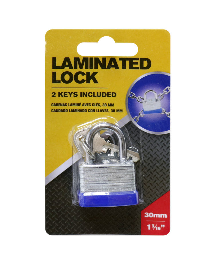 Padlock 30mm with 2 key